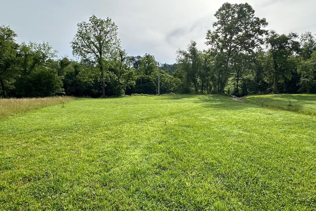 Lot 45 Brasstown Trails, Warne NC 28909 - Photo