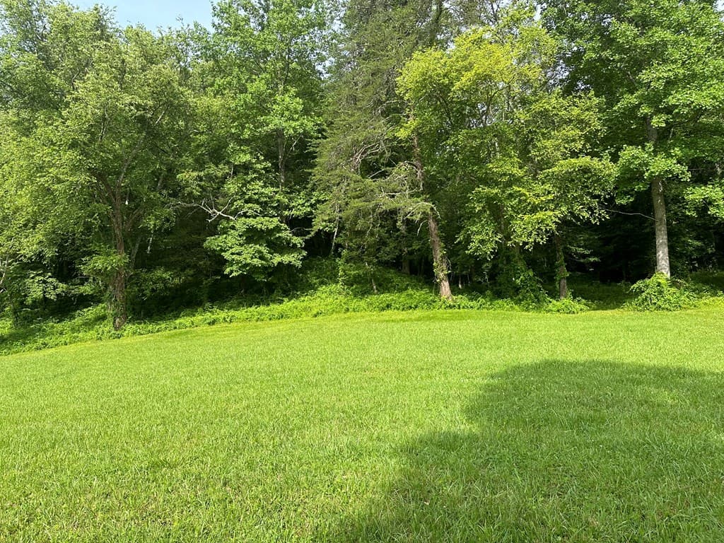 Lot 44 Brasstown Trails, Warne NC 28909 - Photo