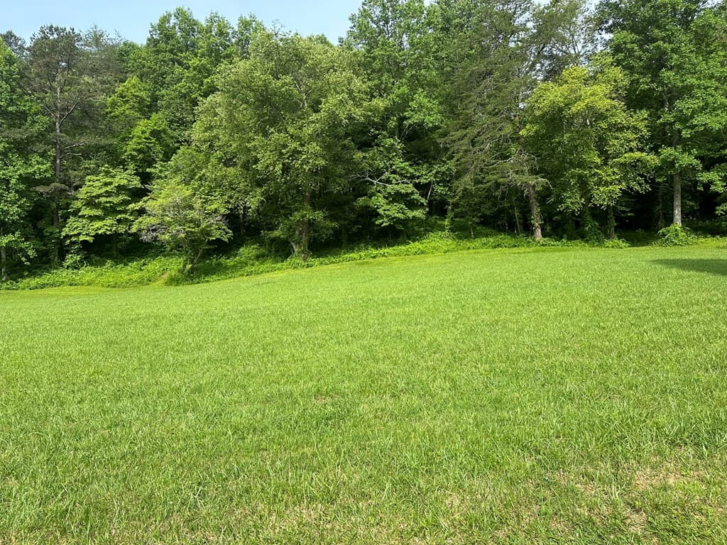 Lot 44 Brasstown Trails, Warne NC 28909 - Photo