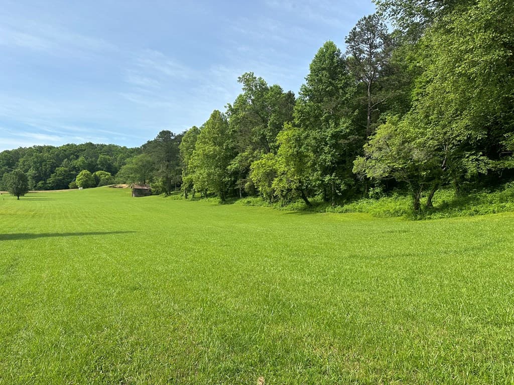 Lot 43 Brasstown Trails, Warne NC 28909 - Photo