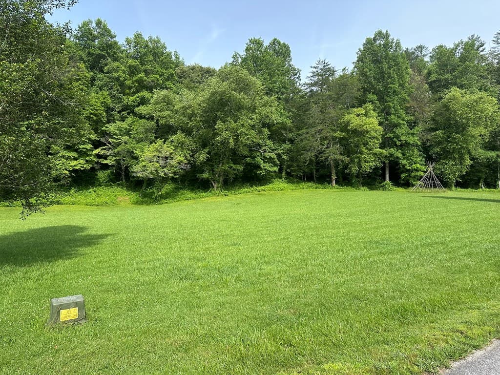 Lot 43 Brasstown Trails, Warne NC 28909 - Photo