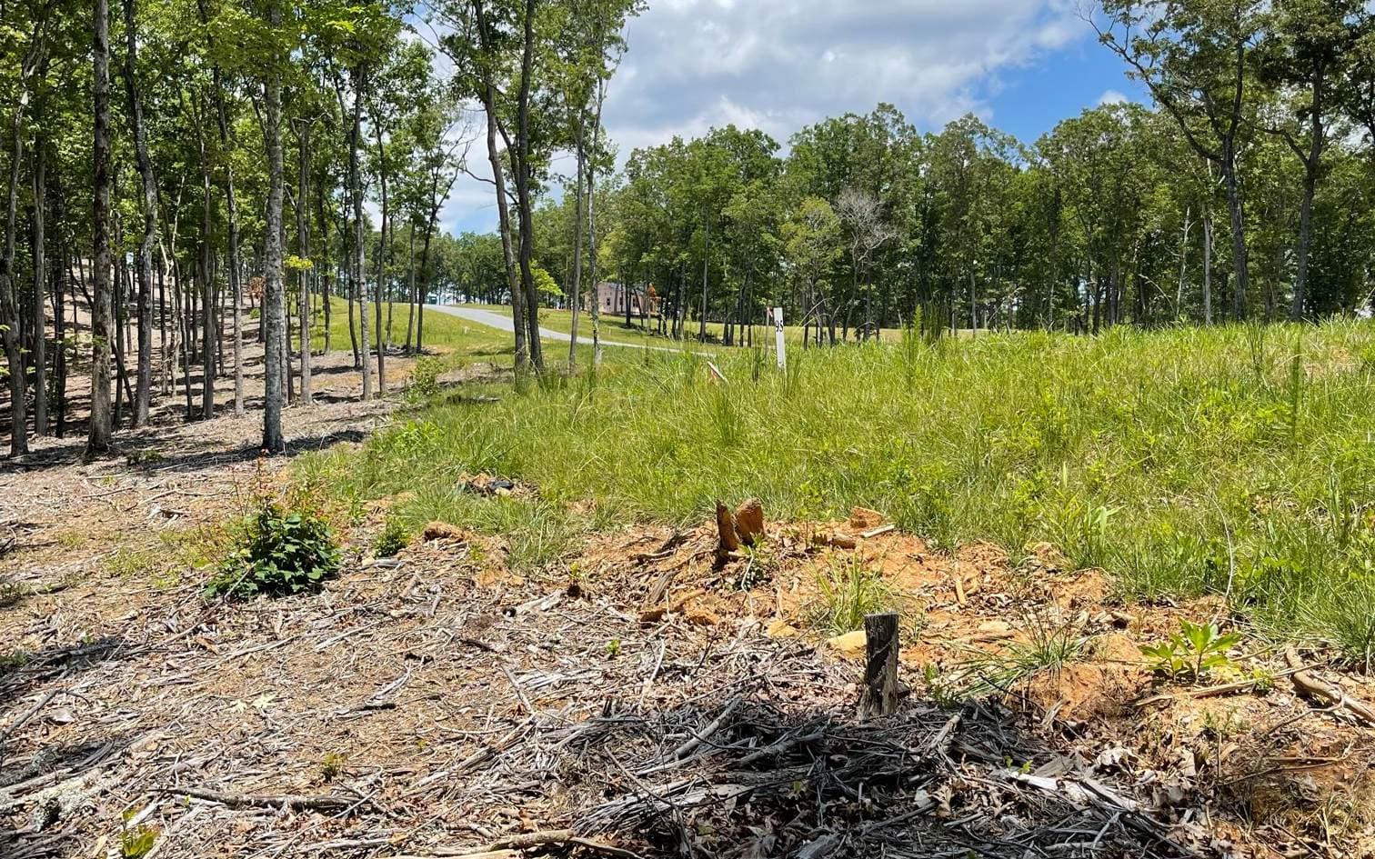LOT 95 The Ridges, Morganton GA 30560 - Photo