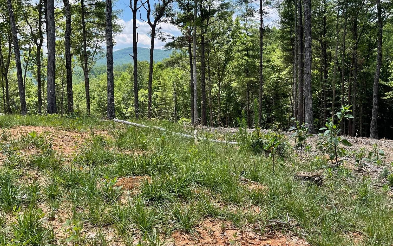 LOT 95 The Ridges, Morganton GA 30560 - Photo