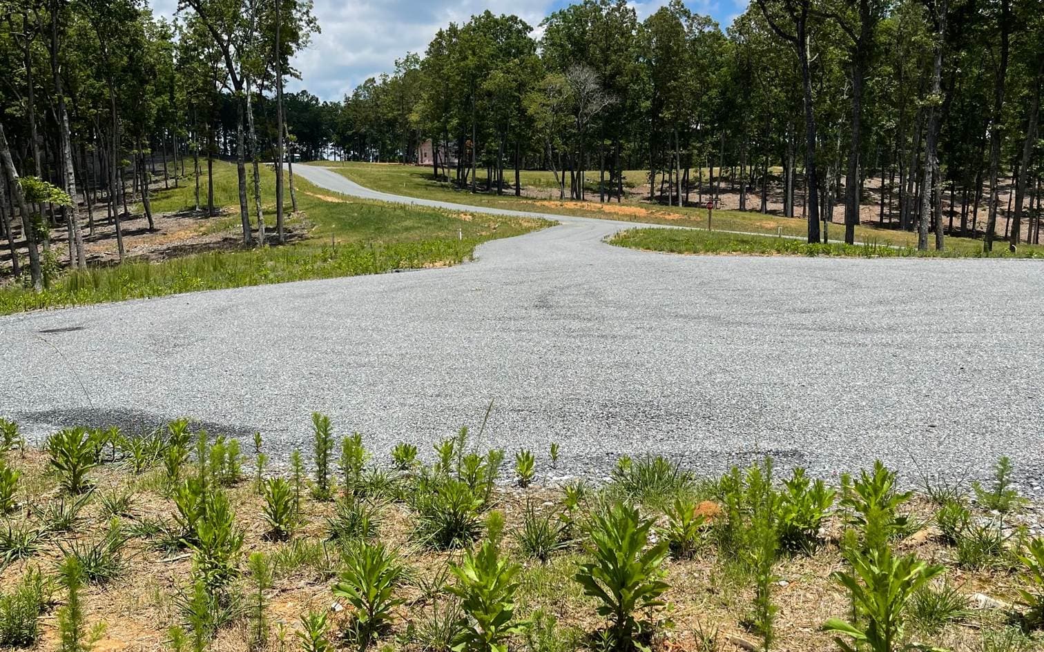 LOT 95 The Ridges, Morganton GA 30560 - Photo