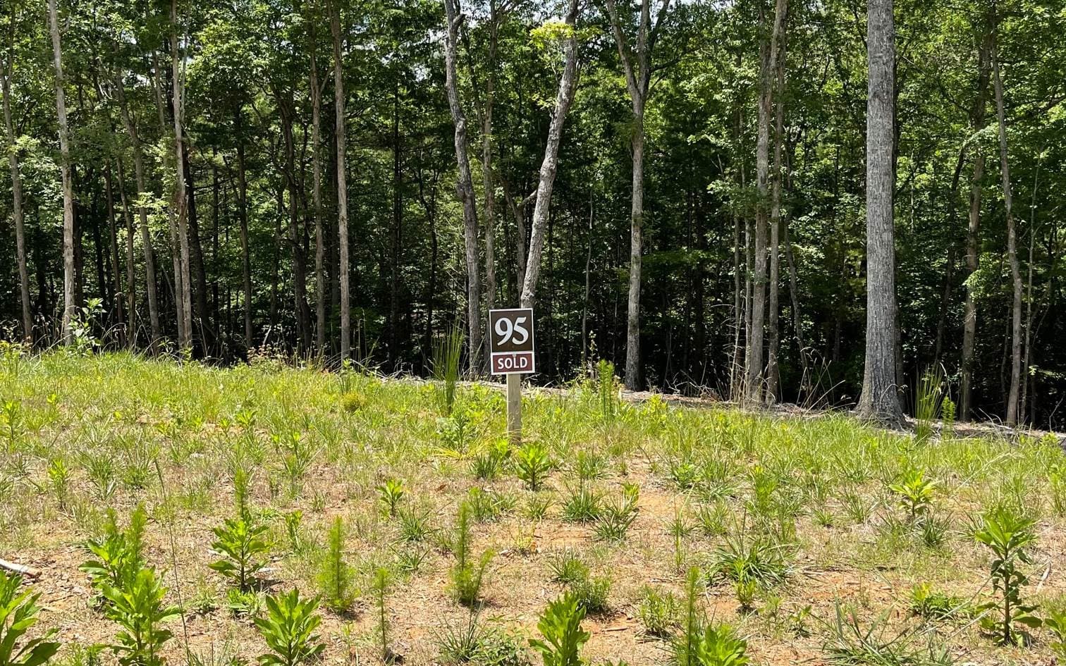 LOT 95 The Ridges, Morganton GA 30560 - Photo