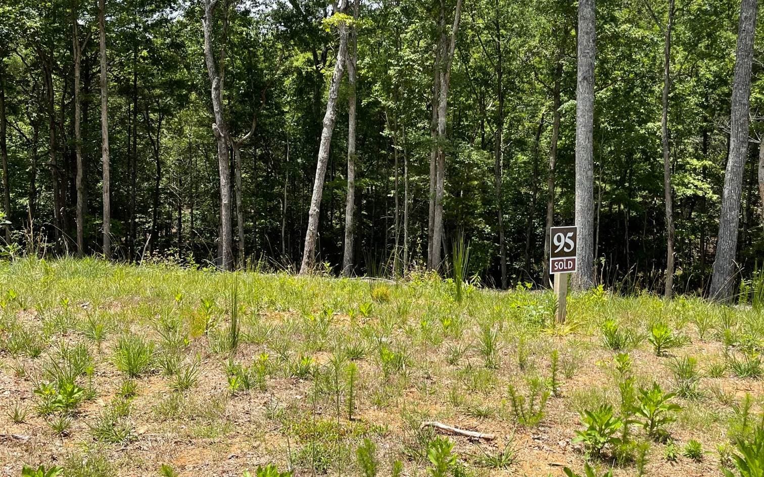 LOT 95 The Ridges, Morganton GA 30560 - Photo