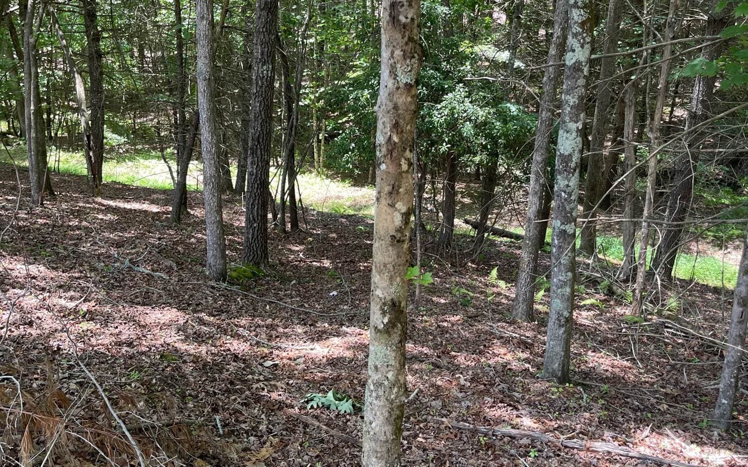 LOT 95 The Ridges, Morganton GA 30560 - Photo