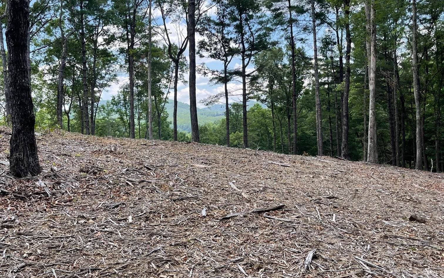 LOT 95 The Ridges, Morganton GA 30560 - Photo