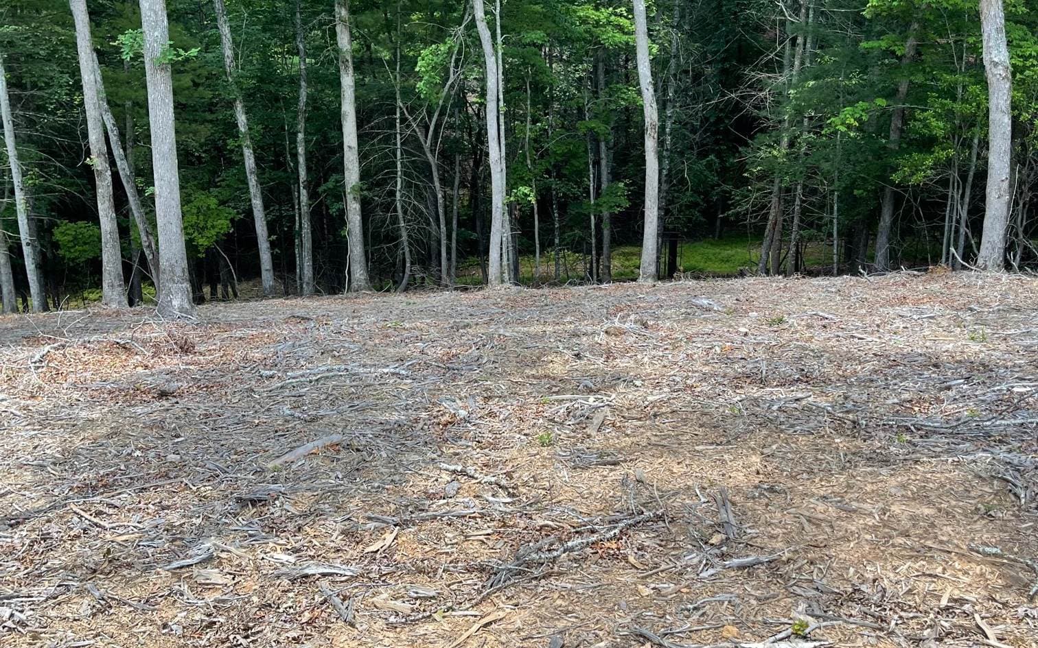 LOT 95 The Ridges, Morganton GA 30560 - Photo