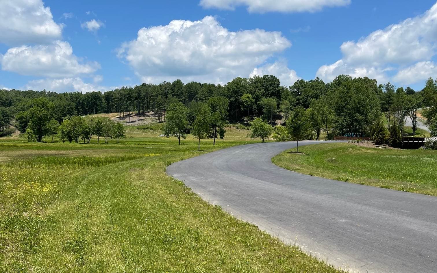 LOT 95 The Ridges, Morganton GA 30560 - Photo