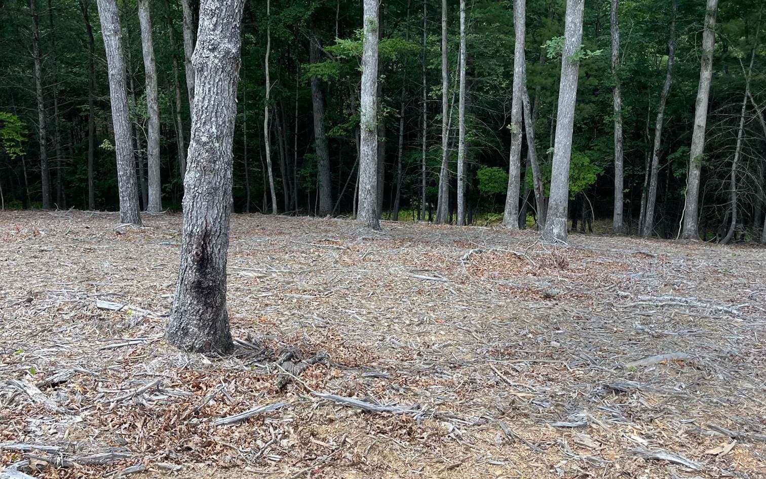 LOT 95 The Ridges, Morganton GA 30560 - Photo
