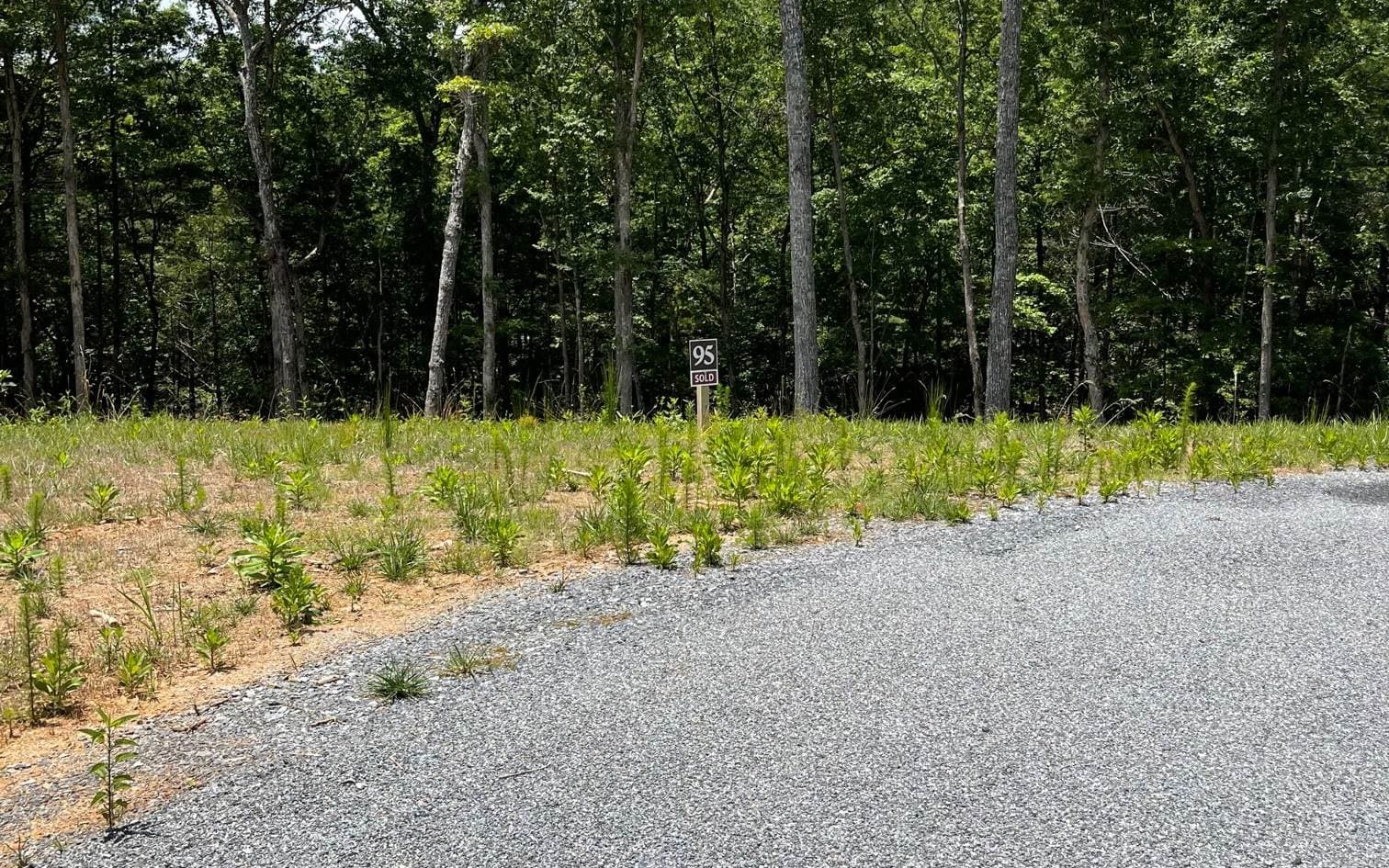 LOT 95 The Ridges, Morganton GA 30560 - Photo