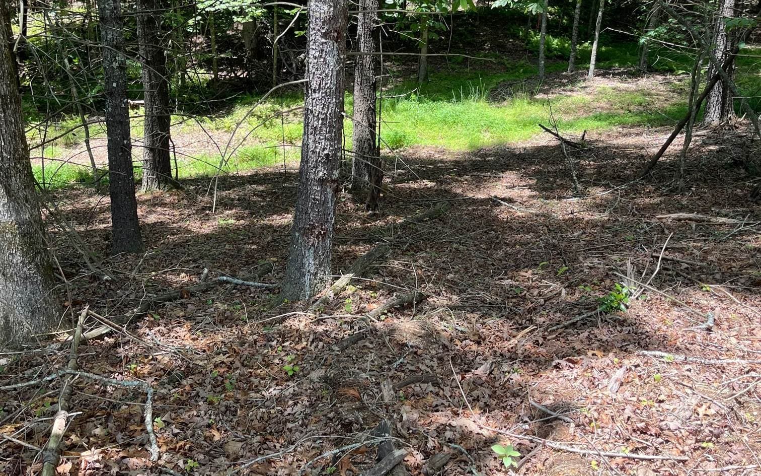 LOT 95 The Ridges, Morganton GA 30560 - Photo