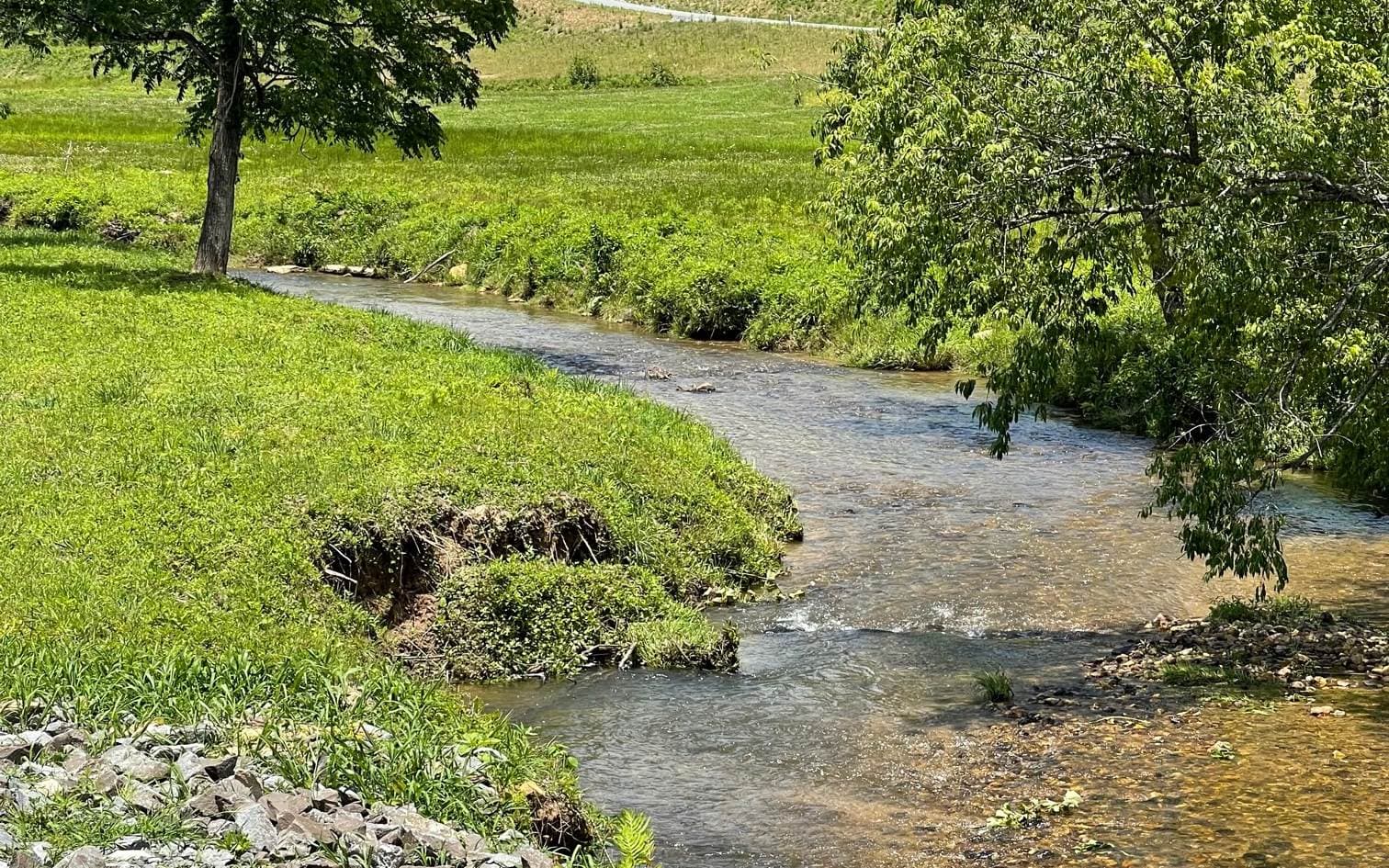 LOT 95 The Ridges, Morganton GA 30560 - Photo