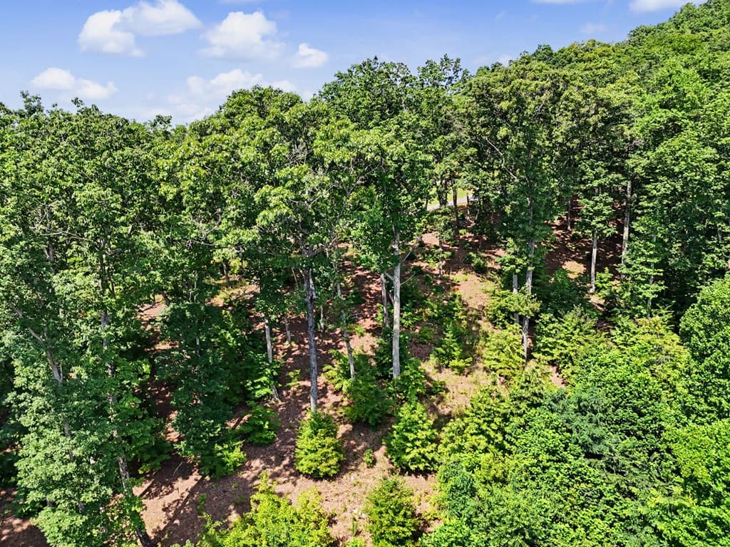 Lot 119 Highland Park, Blairsville GA 30512 - Photo