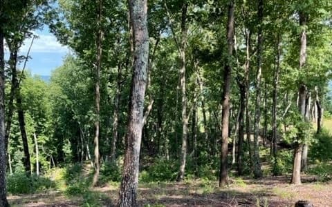 Lot 119 Highland Park, Blairsville GA 30512 - Photo