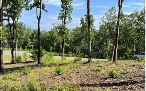 Lot 119 Highland Park, Blairsville GA 30512 - Photo
