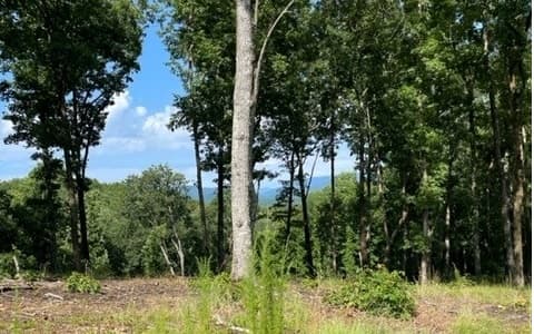 Lot 119 Highland Park, Blairsville GA 30512 - Photo