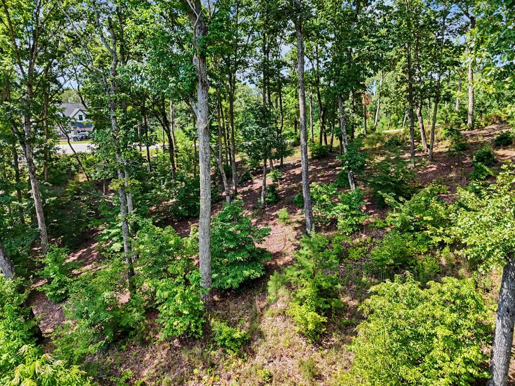 Lot 119 Highland Park, Blairsville GA 30512 - Photo