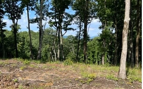 Lot 119 Highland Park, Blairsville GA 30512 - Photo