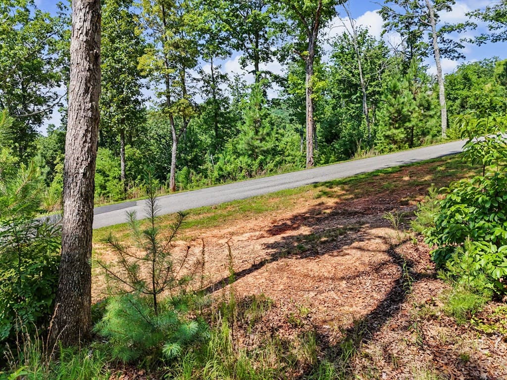 Lot 119 Highland Park, Blairsville GA 30512 - Photo