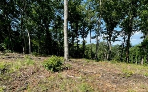 Lot 119 Highland Park, Blairsville GA 30512 - Photo