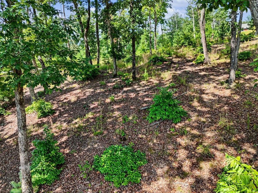 Lot 119 Highland Park, Blairsville GA 30512 - Photo