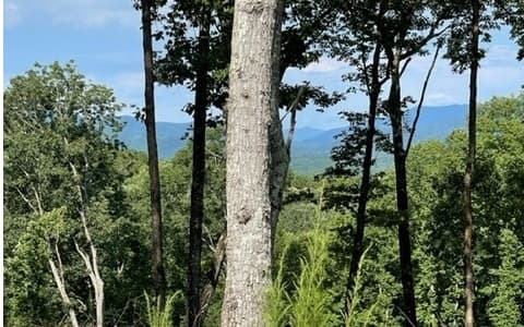 Lot 119 Highland Park, Blairsville GA 30512 - Photo