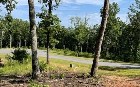 Lot 119 Highland Park, Blairsville GA 30512 - Photo