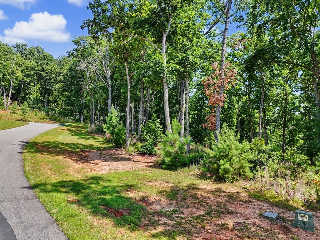 Lot 119 Highland Park, Blairsville GA 30512 - Photo