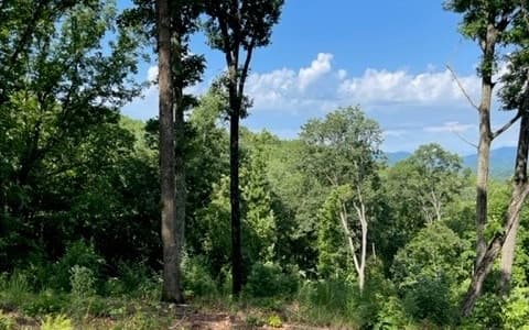 Lot 119 Highland Park, Blairsville GA 30512 - Photo