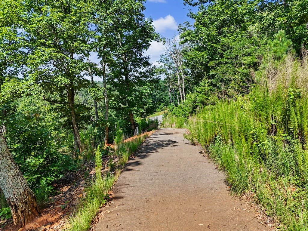 116/117 Highland Park, Blairsville GA 30512 - Photo