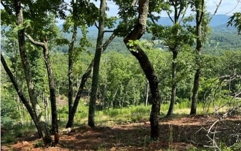 116/117 Highland Park, Blairsville GA 30512 - Photo