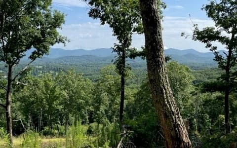 116/117 Highland Park, Blairsville GA 30512 - Photo