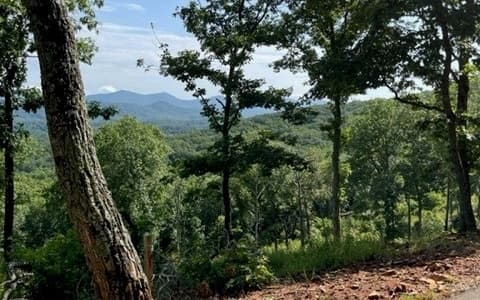 116/117 Highland Park, Blairsville GA 30512 - Photo