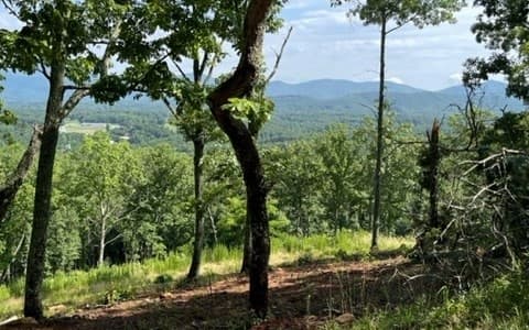 116/117 Highland Park, Blairsville GA 30512 - Photo