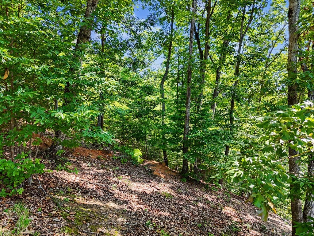 116/117 Highland Park, Blairsville GA 30512 - Photo