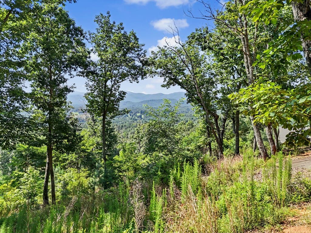 116/117 Highland Park, Blairsville GA 30512 - Photo