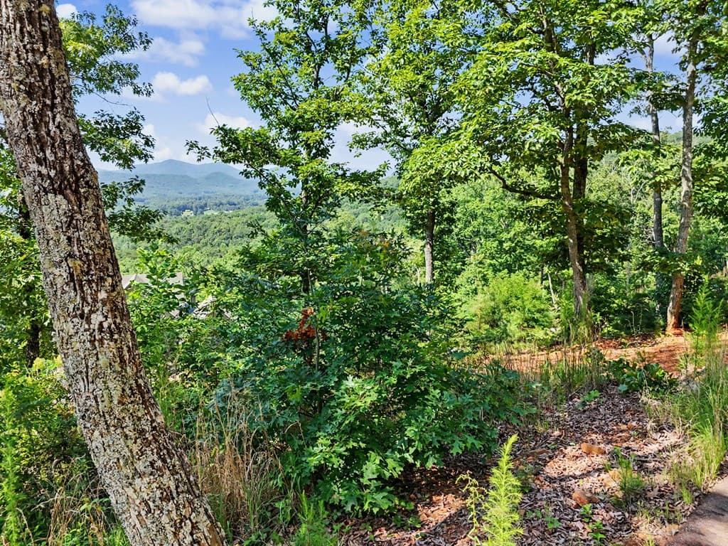 116/117 Highland Park, Blairsville GA 30512 - Photo