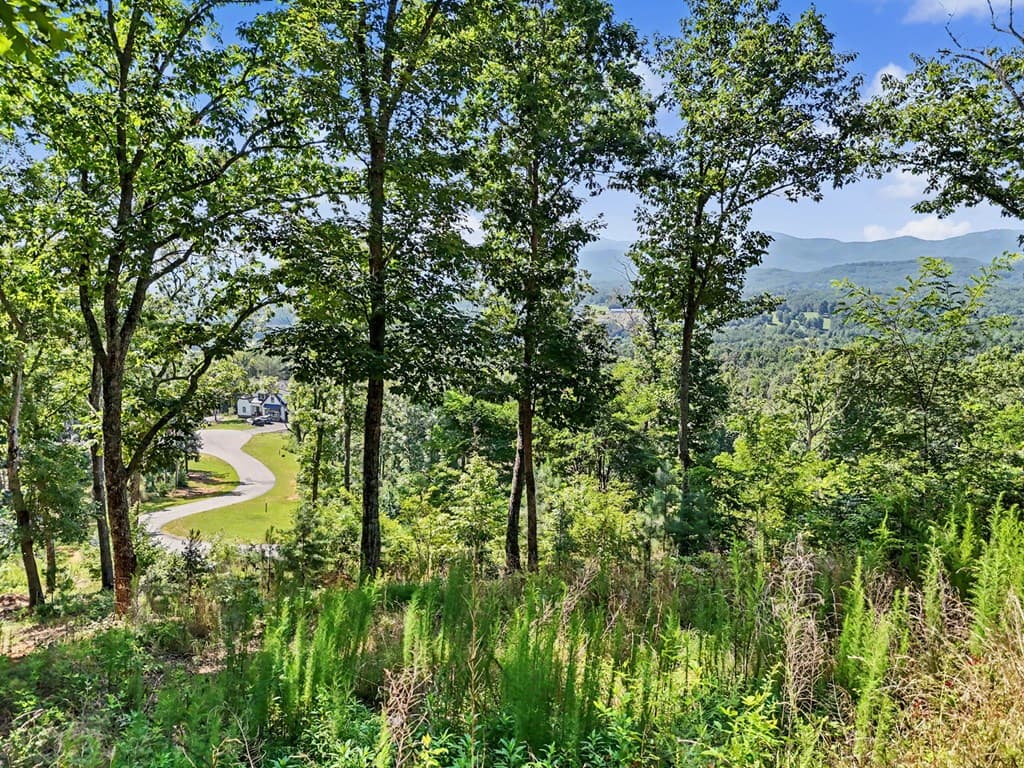 116/117 Highland Park, Blairsville GA 30512 - Photo