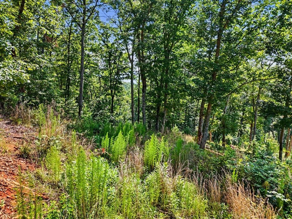 116/117 Highland Park, Blairsville GA 30512 - Photo
