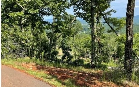 116/117 Highland Park, Blairsville GA 30512 - Photo