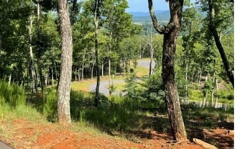 116/117 Highland Park, Blairsville GA 30512 - Photo