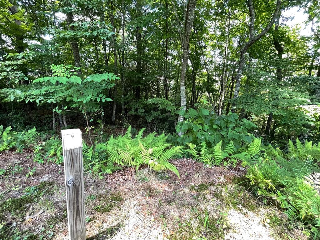Lot 37 Fodder Creek Mill Drive, Hiawassee GA 30546 - Primary photo