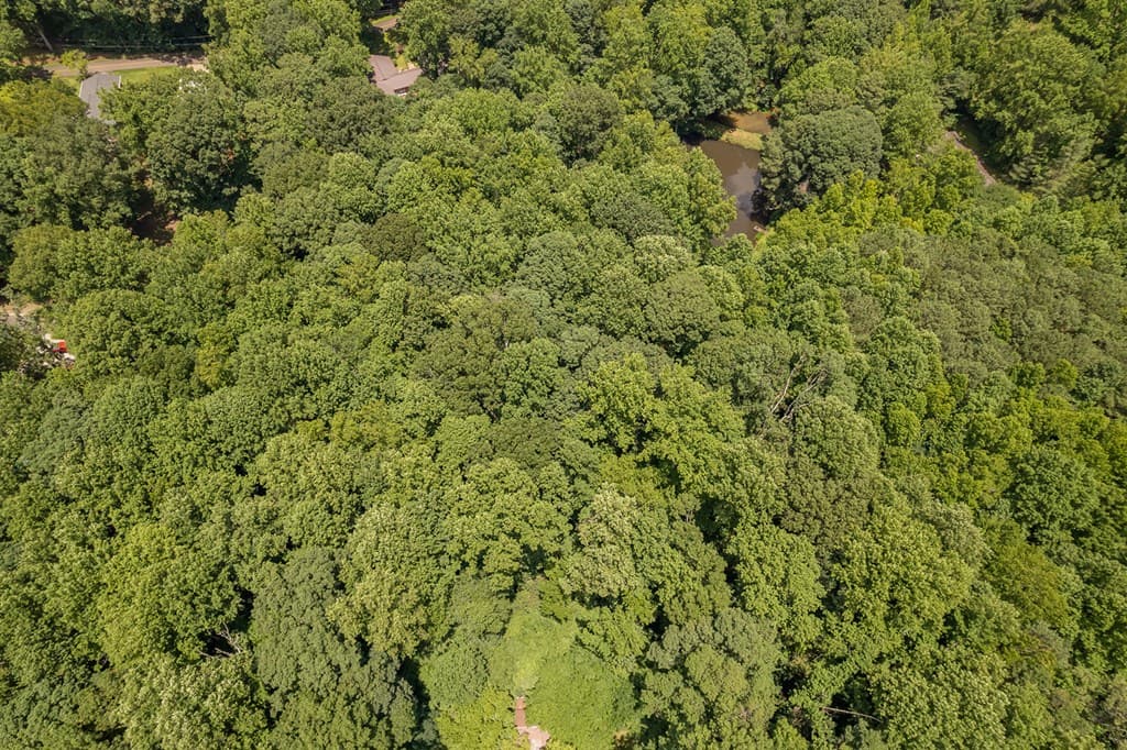 0 Hickory Trail, Jasper GA 30143 - Photo