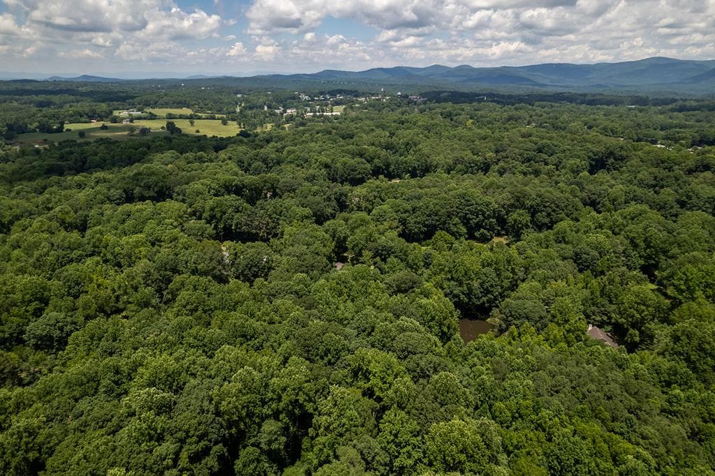 0 Hickory Trail, Jasper GA 30143 - Primary photo