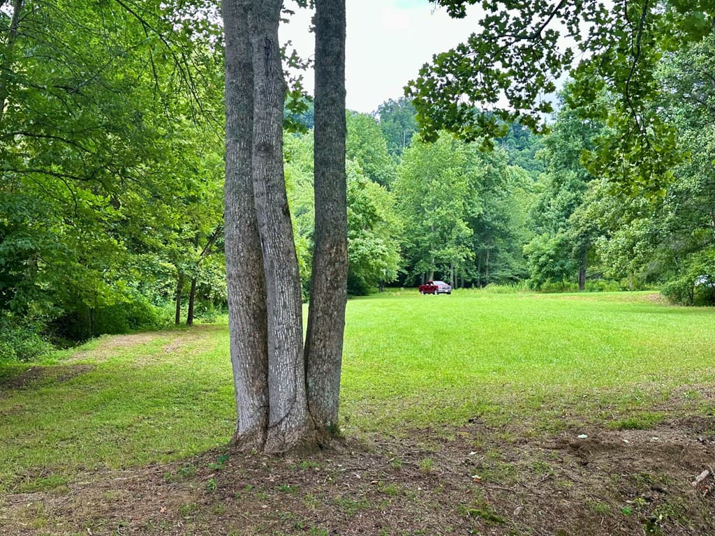 Lot 65C Mountain Harbour Lot, Hayesville NC 28904 - Photo
