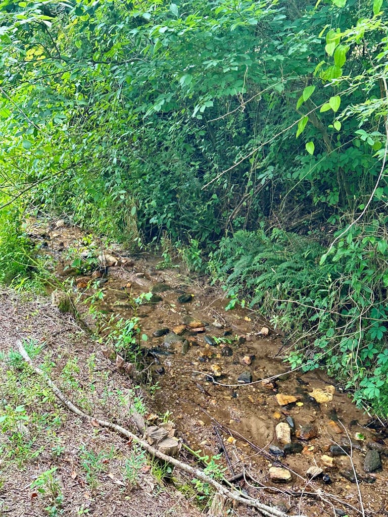 Lot 65C Mountain Harbour Lot, Hayesville NC 28904 - Photo