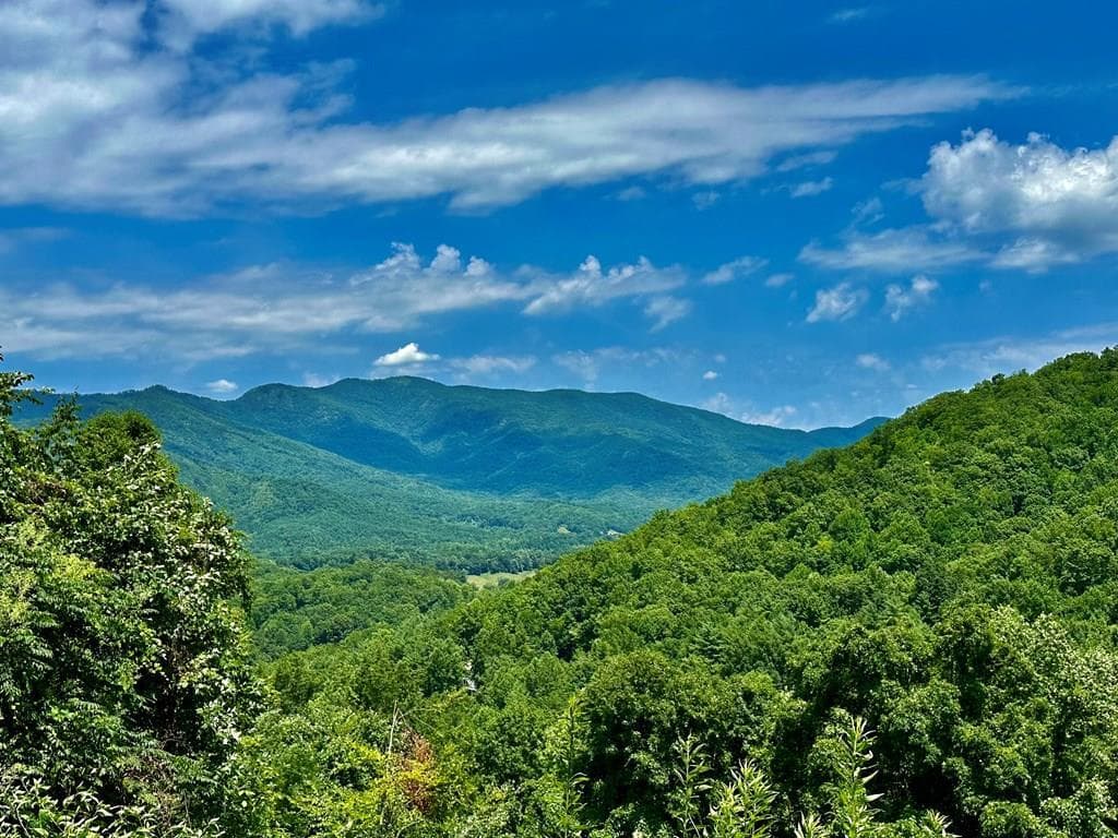 Lot 32 Shiloh Trail, Hayesville NC 28904 - Photo