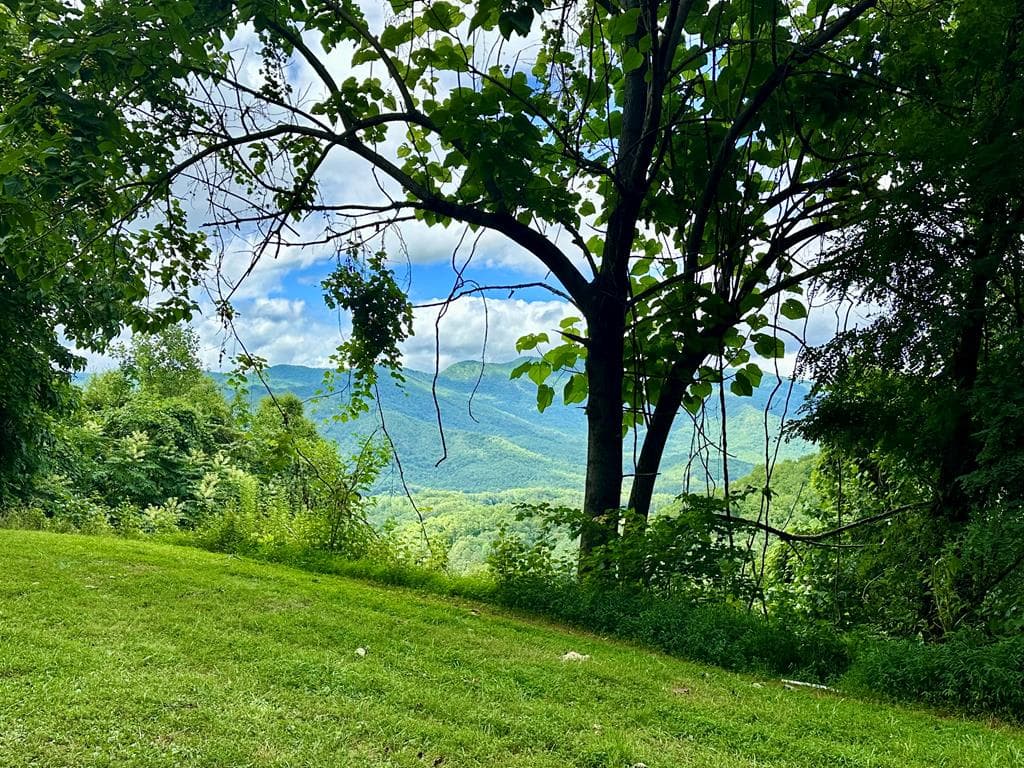 Lot 32 Shiloh Trail, Hayesville NC 28904 - Photo